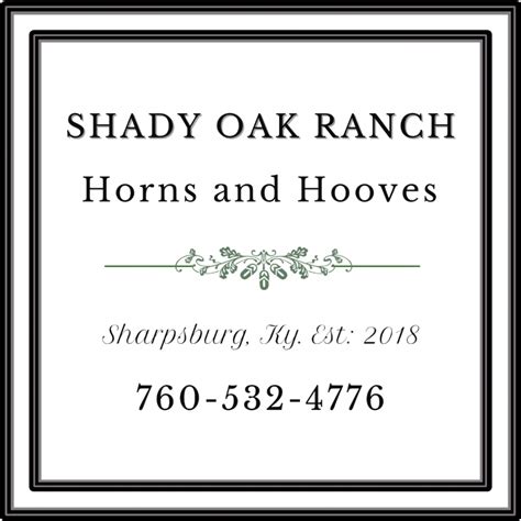 Understanding Performance Ratios