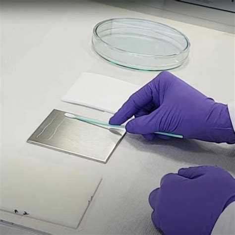 Image result for Cleaning Validation Swab Sampling