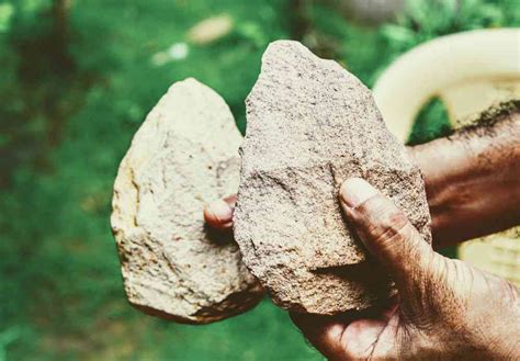Desi Stones and Bones: Meet India’s archaeologists and palaeontologists ...