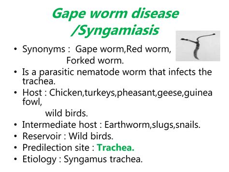 Endoparasite of poultry: Helminth and its effect | PPTX