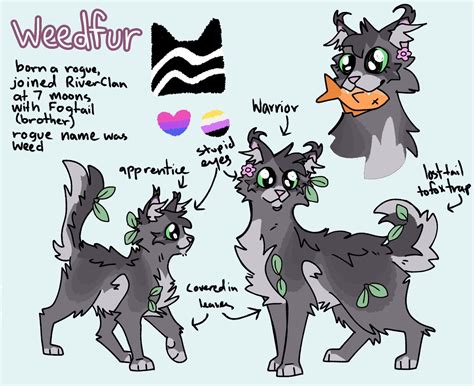 i finally made a full ref sheet for my warriors oc :) : r/WarriorCats