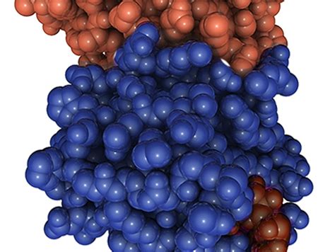 Biotech Website Design 的图像结果