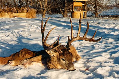 Revisited - The 30th Anniversary Of Milo Hanson's World Reco - North ...