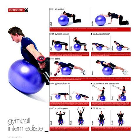 Exercise Ball Chart :: Sports Supports | Mobility | Healthcare Products ...