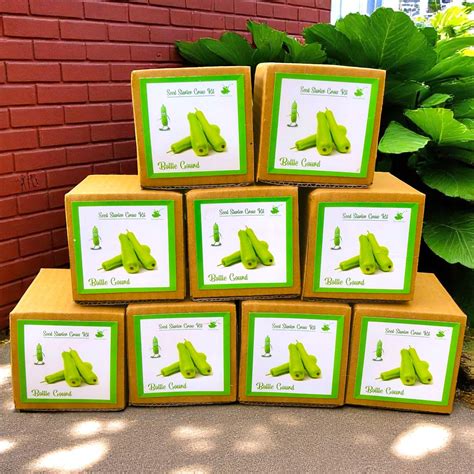 Mini Bottle Gourd (Gheeya/Lauki) Grow Kits – Set of 9 | Eco-Friendly ...
