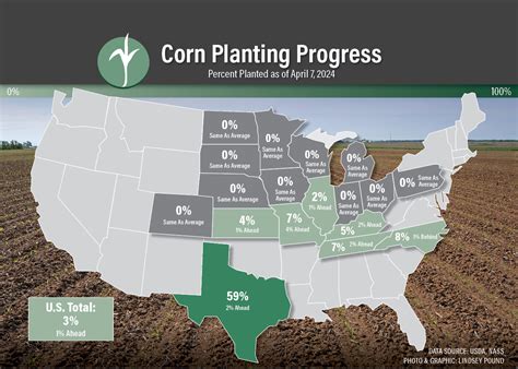 Image result for Corn Planting