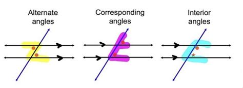 Parallel Geometry 的图像结果
