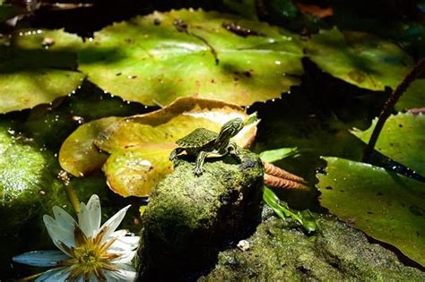 Bicycool - Tulum | Tripadvisor