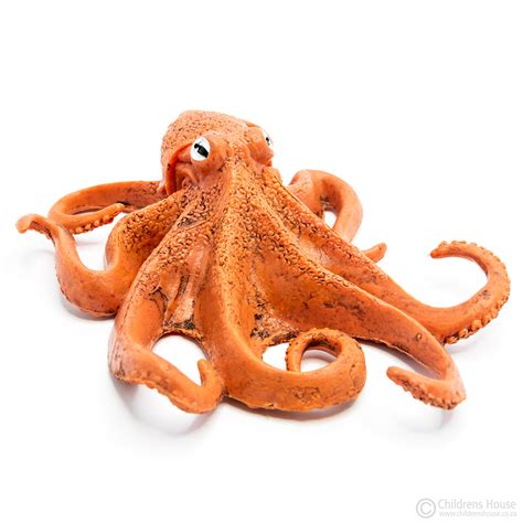 Image result for Octopus Metaheuristic Algorithm
