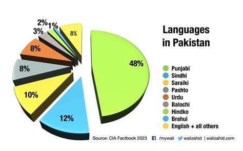 Native and first languages in Pakistan × Wali Zahid
