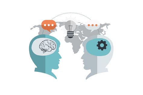 ERP Tutorial 的图像结果