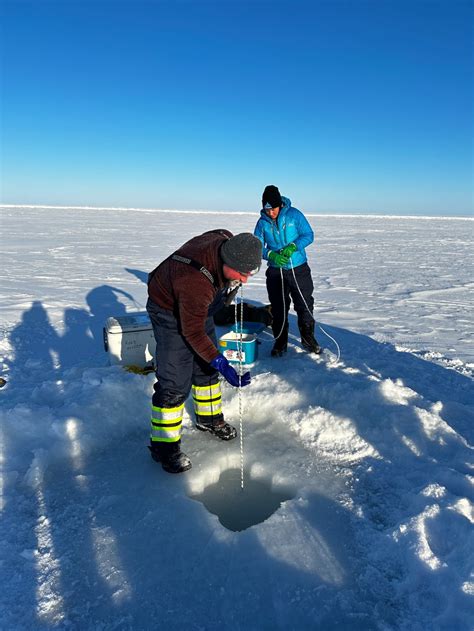 Image result for CWC Arctic