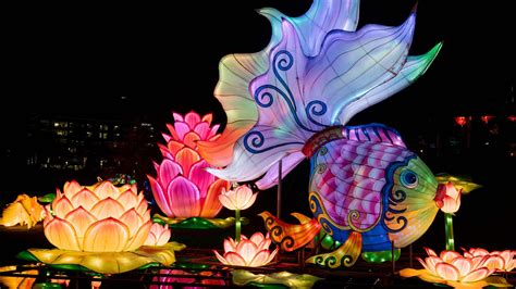 The 2023 NC Chinese Lantern Festival illuminates the Triangle - RALtoday