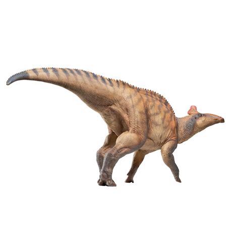 PNSO Prehistoric Dinosaur Models (80 Zabad The Edmontosaurus) : Amazon ...