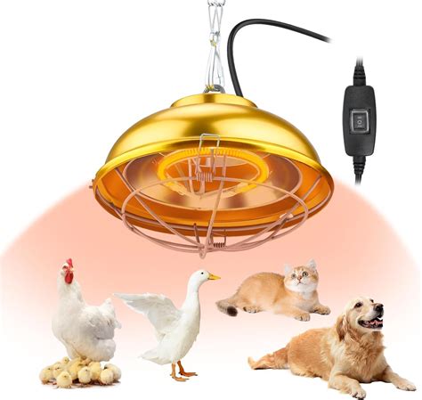 Amazon.com : S SHUN CAN DA Heat Lamp for Chicken Coop, 300 Watts ...