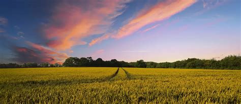 Maupin Funeral Home | Fulton, MO & Auxvasse, MO