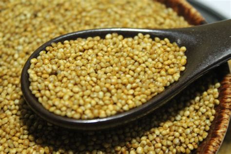 Kodo Millet Taste at Judith Ducote blog