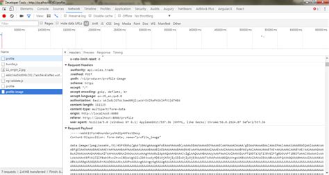 Form Data JavaScript 的图像结果