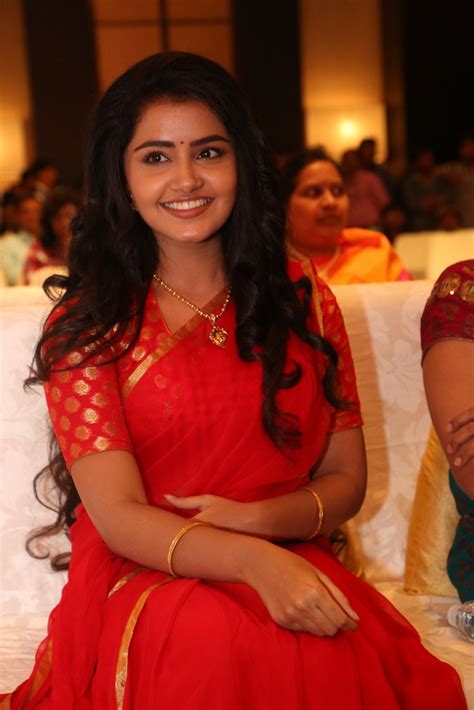 Anupama cute at Sathamanam Bhavati success meet