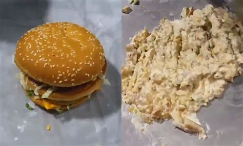 Watch: This Man Made McDonald's Chicken Burger Ice Cream, Try Not To ...