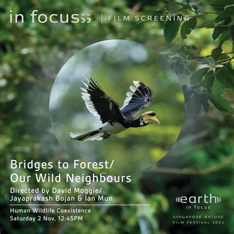 Coexistence: Bridges to Forests and Our Wild Neighbours, Emerald ...