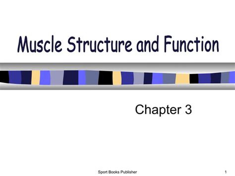Image result for Muscle Structure and Function