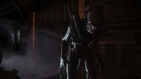 Image result for Alien Isolation Monster