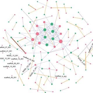 NetworkX Layout 的图像结果