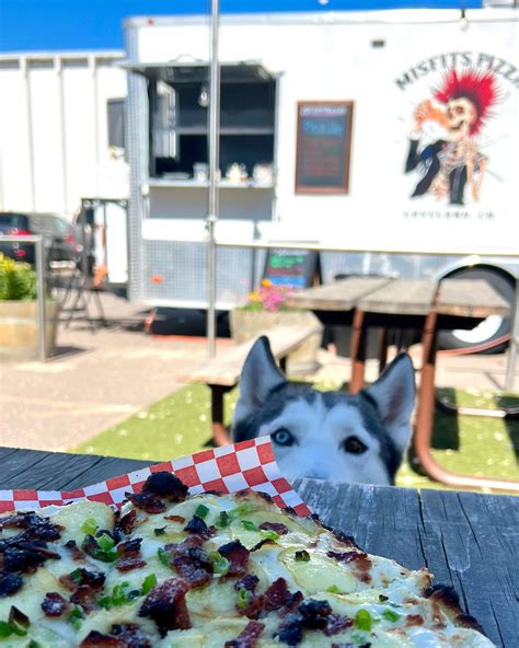 Dog Friendly Colorado (@dogfriendly_colorado) • Instagram photos and videos