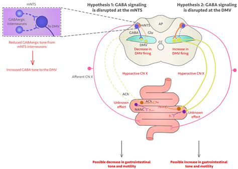Fluoroquinolones-Associated Disability: It Is Not All in Your Head