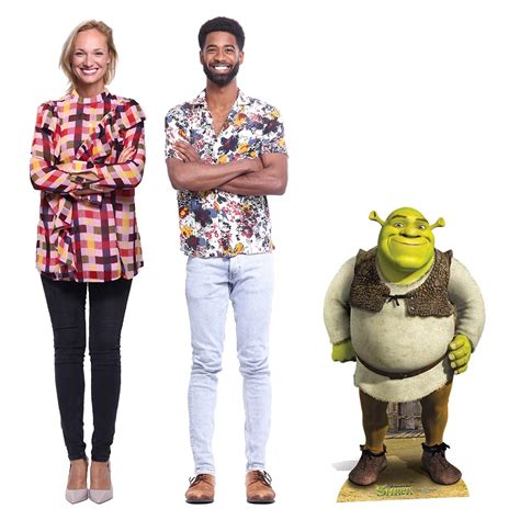 STAR CUTOUTS SC917 Shrek Mini Cardboard Cutout for Fans, Parties and ...