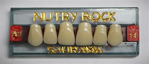 saurama two layer acrylic teeth sets — DentalExpress
