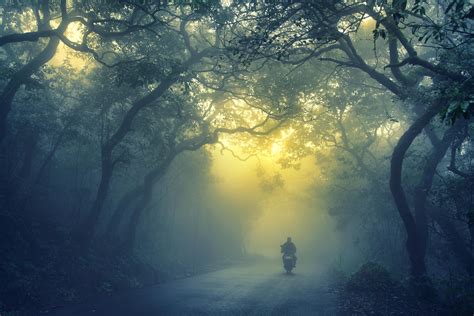 Move Over Matheran, Cherrapunji, Tamini Ghat, Mahabaleshwar Is India's ...