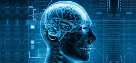 Explained: How A New Research Has Established Links Between Cognitive ...
