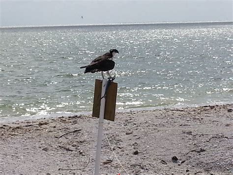 FULL THROTTLE WAVERUNNER ADVENTURES (2026) All You Need to Know BEFORE ...