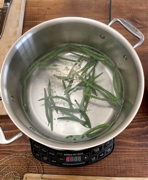 06.27.23 boiling green beans large stainless steel pot induction cooker ...