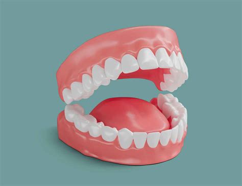 how many teeth do adults have? - crystalline Dental