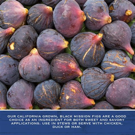 Black Mission Fig