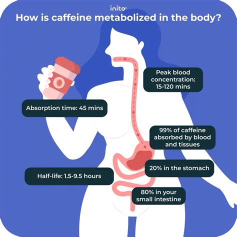 Does caffeine affect fertility?