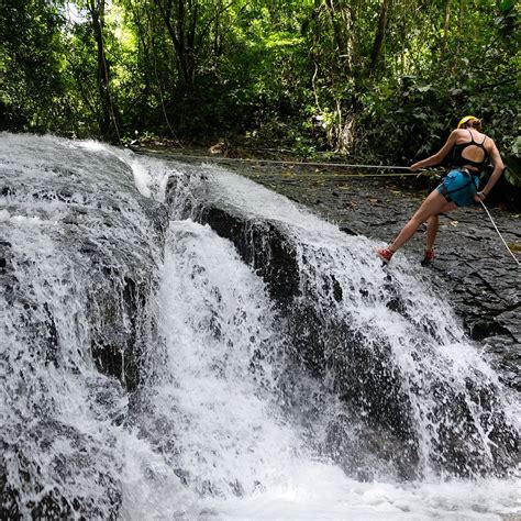 RAINFOREST RIDES & RAPPELLING (2026) All You Need to Know BEFORE You Go ...