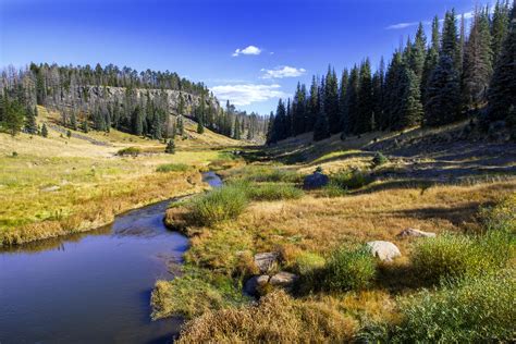 White Mountain National Forest Arizona at Stella Carol blog