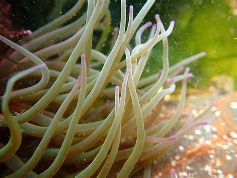 THE ROCK POOL PROJECT PLYMOUTH (2025) All You Need to Know BEFORE You ...