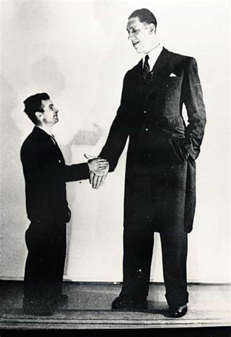 The stories of the tallest humans in history