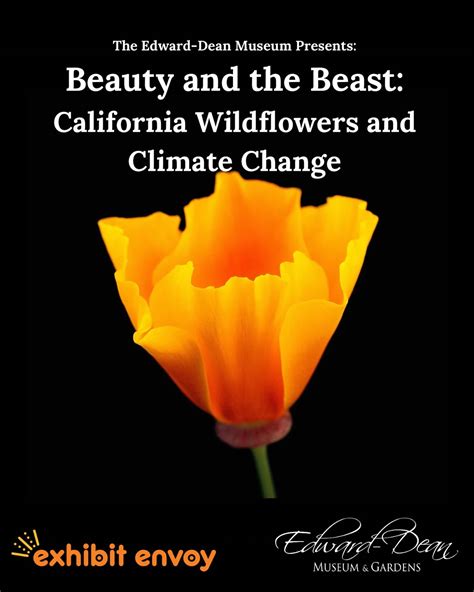 Edward Dean Museum (@edwarddeanmuseum) • Instagram photos and videos