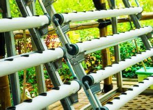 Build a NFT Hydroponic System Using 50Mm PVC 的图像结果