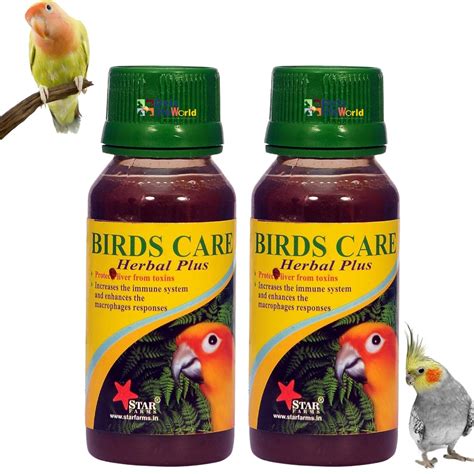 VAYINATO® Birds Care Herbal Plus Tonic, 60 ML (Pack of 2) for All Birds ...