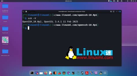 openssh 的图像结果