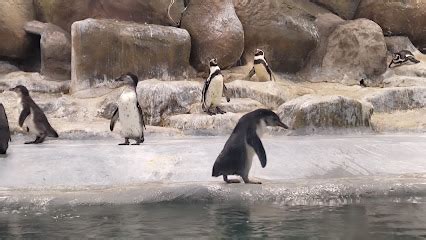 The 10 Best Zoos in Mumbai | BestMumbai