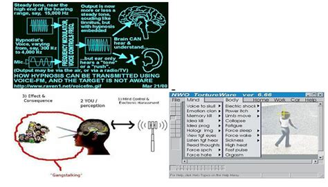 Targeted Individual Program 的图像结果