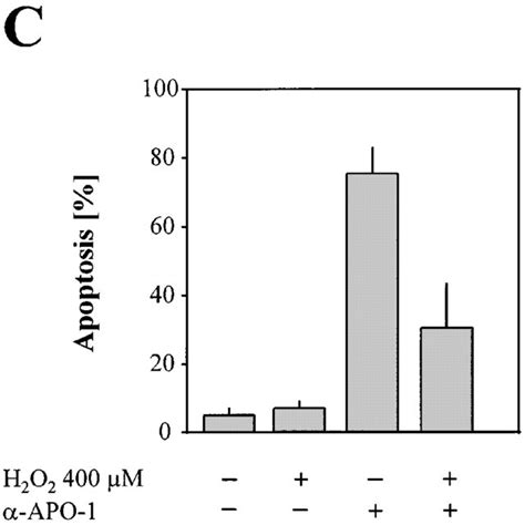 H2O2 Apoptosis 的图像结果